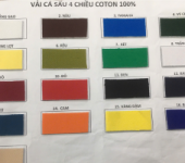 Cá Sấu Cotton 4 Chiều 100%